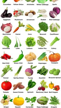 Vegetables Names With Pictures, Fruits Name With Picture, Vegetables Name, Fruits And Vegetables List, Name Of Vegetables, Vegetable Chart, Animals Name In English, Vegetable Pictures, Fruit Names