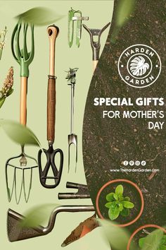 various gardening tools are displayed on a green background with the words special gifts for mother's day