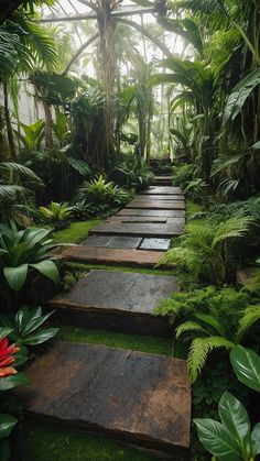 a walkway in the middle of a lush green forest