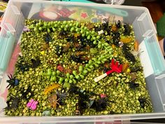 Bug Sensory Bin