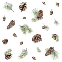 watercolor pine cones and acorns on a white background seamless wallpaper