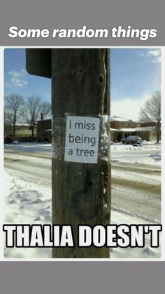 a pole with a sign on it that says, i miss being a tree thalia doesn't