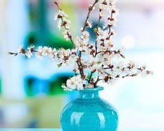 a blue vase filled with white flowers on top of a table