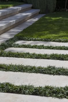 the steps are lined with green grass