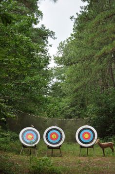 three archery target stands in the middle of a wooded area with an antelope standing next to them