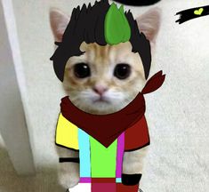 a cat with a green leaf on it's head and scarf around its neck