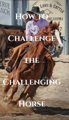 a man riding on the back of a brown horse in front of other horses and text that reads how to challenge the challenging horse