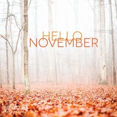 the words hello november are surrounded by leaves in front of a foggy forest filled with trees