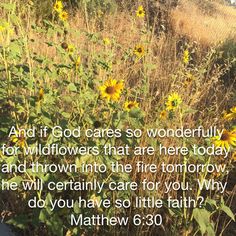 a field full of sunflowers with the words, and if god cares so wonderfully for wildflowers that are here today and thrown into the fire tomorrow he will certainly care for you