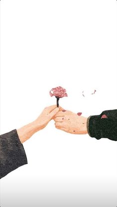 two people are reaching out towards each other to touch a pink flower that is in the palm of their hand