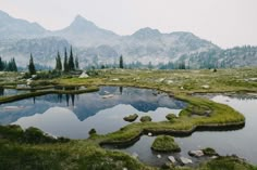 a small pond in the middle of a grassy field with mountains in the back ground