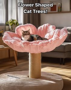 a cat laying in a pink flower shaped cat tree