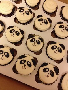 there are many cupcakes with panda faces on them in the shape of animals