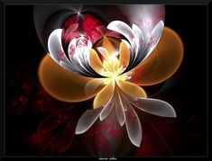 an abstract flower with red, white and yellow petals in the center on a black background