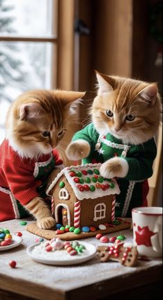 two cats dressed up in christmas sweaters next to a gingerbread house on a table