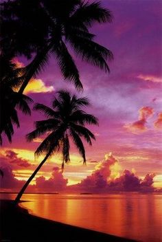 palm trees are silhouetted against an orange and pink sunset on the beach in fiji