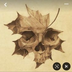 a drawing of a skull with leaves on it