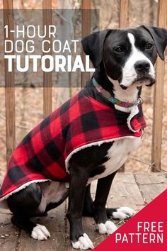 a black and white dog wearing a red checkered coat sitting on a wooden deck