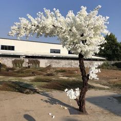 a tree with white flowers in front of a building