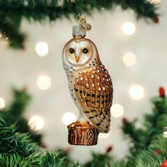 an owl ornament hanging from a christmas tree