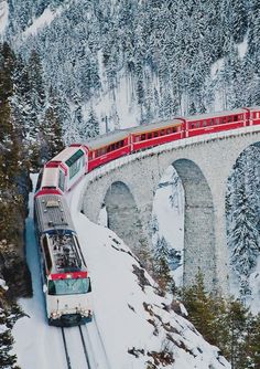 a train traveling over a bridge in the middle of snow covered mountains with trees on both sides