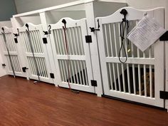 several dog kennels are lined up against the wall