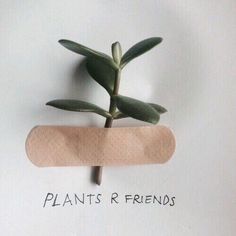 a plant is growing out of a pill shaped object that says, plants r friends