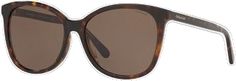 Elegant Brown Anti-reflective Sunglasses, Classic Brown Coach Sunglasses, Casual Coach Sunglasses With Tinted Lenses, Coach Brown Tinted Sunglasses, Classic Coach Sunglasses With Polarized Lenses, Brown Lens, Same Day Delivery, Square Sunglasses, Dark Brown