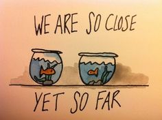 an image of two fish in a bowl with the words we are so close yet so far