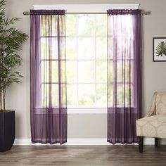 a living room filled with furniture and a window covered in purple sheer curtain panels next to a potted plant