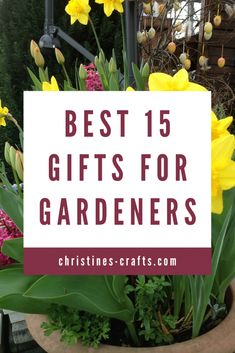 the words best gifts for gardeners in front of a potted plant with yellow flowers