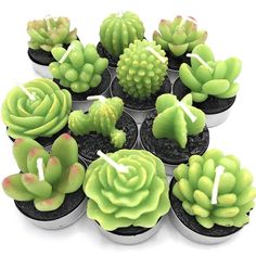 cupcakes with green frosting are arranged in the shape of succulents