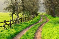 a dirt road running through a lush green field next to a wooden fence and trees