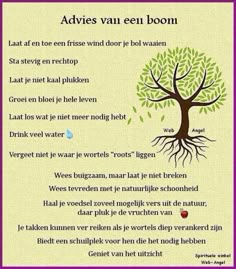 an image of a tree with the words advies van een boon