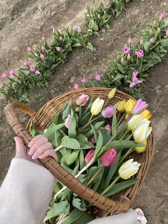 a person holding a basket full of flowers