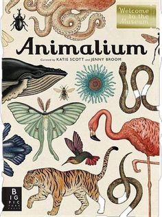 an illustrated book with animals and other things on the cover, which include birds, lizards,