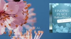 the book finding peace, biblical vision for life's christiana poee is on display