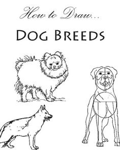 a dog is shown with three different breeds on it's back and the words, how