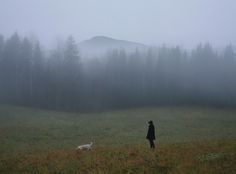 a person standing in a field with a dog on a foggy day near some trees