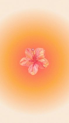 an orange and pink flower in the middle of a yellow background