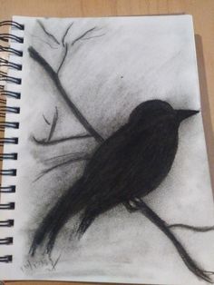 a drawing of a bird sitting on a tree branch