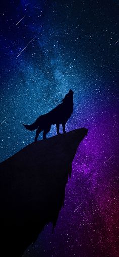 a wolf standing on top of a cliff under the stars