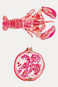 an image of two lobsters and a pomegranate on a white background