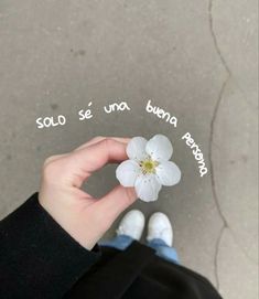 a person holding a flower with words written in spanish on the side and below it