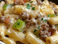 a close up of a plate of pasta with meat and vegetables