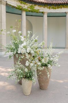 three vases filled with white flowers sitting on top of a cement floor in front of a building