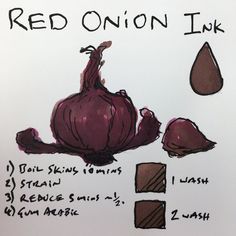 an onion and some other ingredients on a piece of paper that says red onion ink