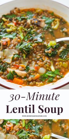 this 30 minute lentil soup is full of vegetables and lots of meat