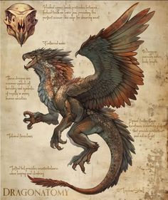 a drawing of a dragon with wings and claws on it's back, sitting in front of an old book page