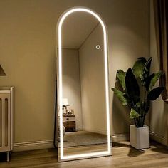 a large white mirror sitting on top of a wooden floor next to a potted plant